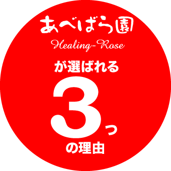 選ばれる3つの理由