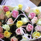 お誕生日,バラの花束,ロマンティックエンジェル,スノージュエル,ワム,リメンブランス,イリオス